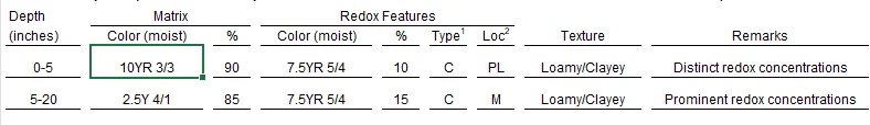 Modified soil profile diagram demonstrating how changing matrix value from 2 to 3 affects hydric soil indicator selection and wetland determination criteria
